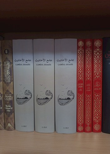 Kayı Kitap Serisi ve Çeşitli Romanlar - Görsel 7