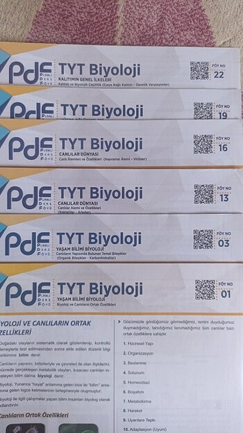 Beden Renk Tyt biyoloji soru bankası
