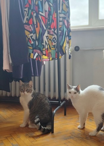 Renkli Pop Art Desenli Kadın Gömlek - Görsel 6