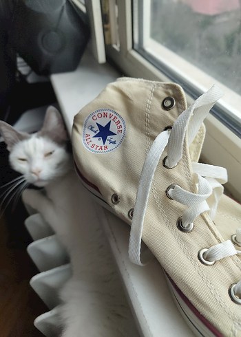 Converse Chuck Taylor All Star Hi - Görsel 8