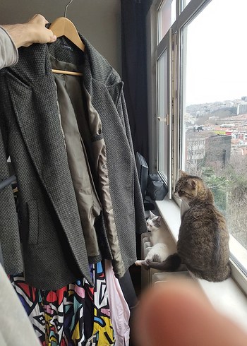 Düğmeli Gri Yün Erkek Kaşe Ceket - Görsel 3