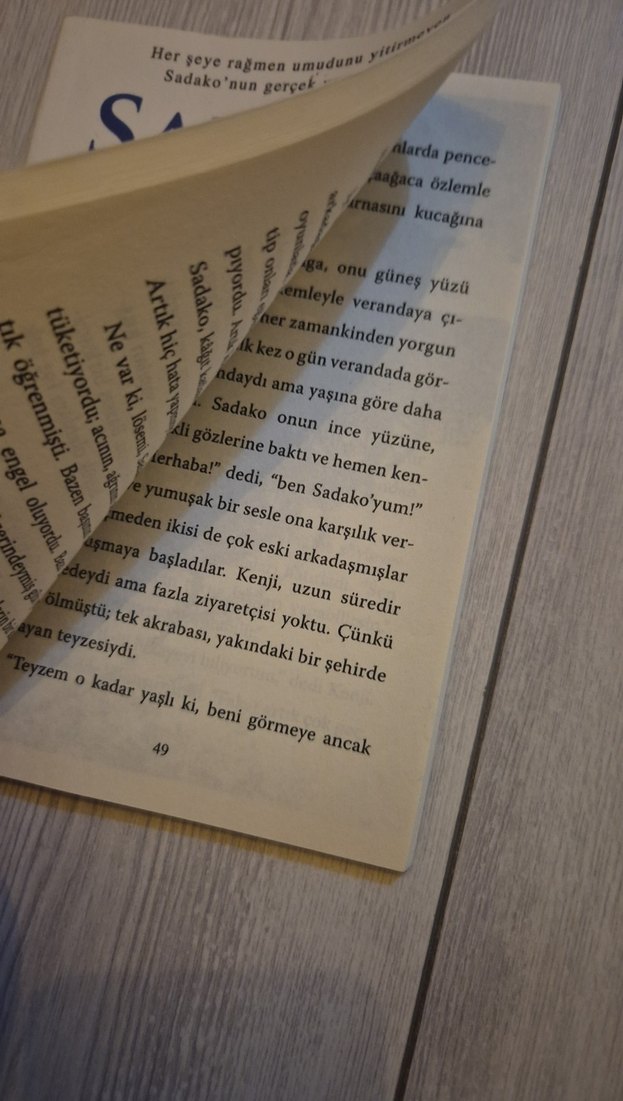 Sadako ve Kağıttan Bin Turna Kuşu - Eleanor Coerr - Görsel 2