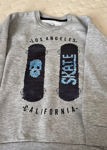 Gri Baskılı Erkek Çocuk Sweatshirt - Görsel 3