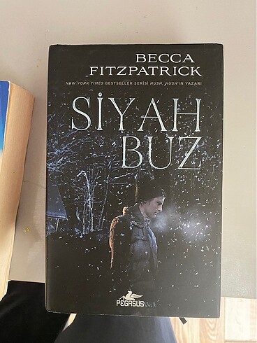 Korku kitabı ciltli