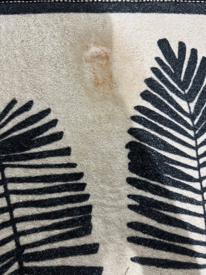 Shiwderm Genel Leke Çıkarıcı Sprey - Görsel 2