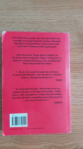  EN GÜZEL KEDİ HİKÂYELERİ