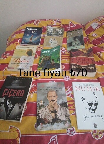 Hikaye kitapları 