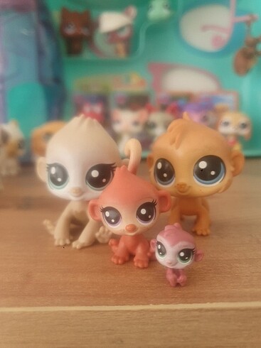 Lps minişler maymun ailesi