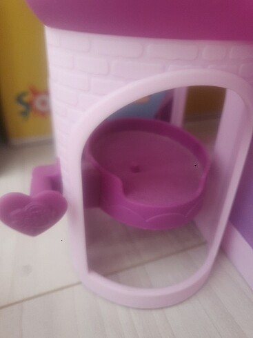  Ponny evi