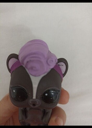  Beden Lol pets 
