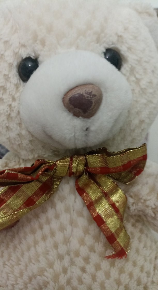 Peluş Oyuncak Ayı - Görsel 2