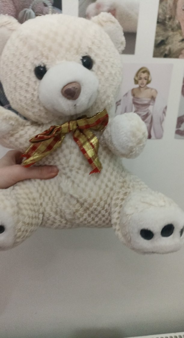 Peluş Oyuncak Ayı - Görsel 5