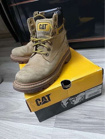 Cat CAT Bot