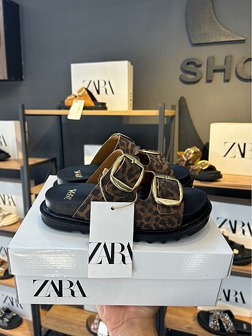 ZARA TERLİK 36 NUMARA