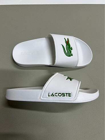 LACOSTE TERLİK 41 NUMARA