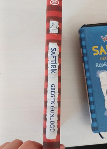 Saftirik Greg'in Günlüğü - Jeff Kinney
