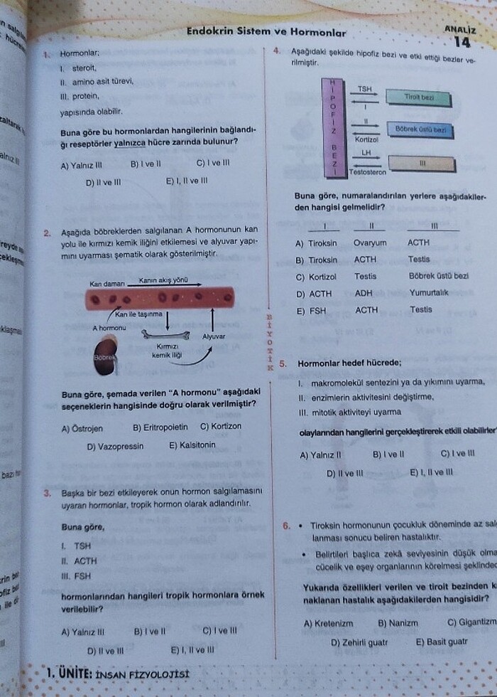 11. sınıf biyotik biyoloji soru Bankası  - Görsel 2