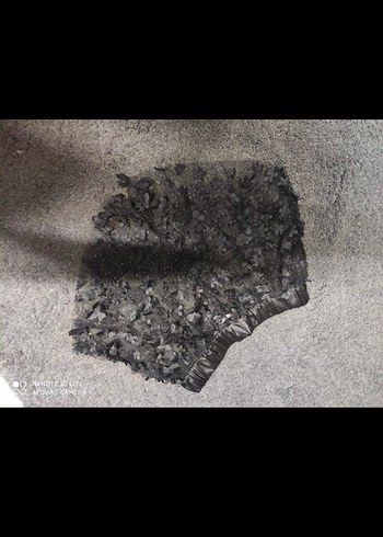 kadın şort - Görsel 2