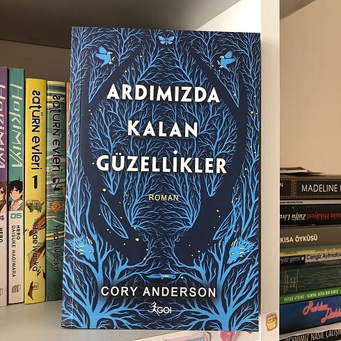 Ardımızda kalan güzellikler kitap