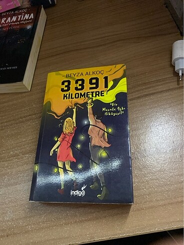 Beyza alkoç 3391 kilometre romanı