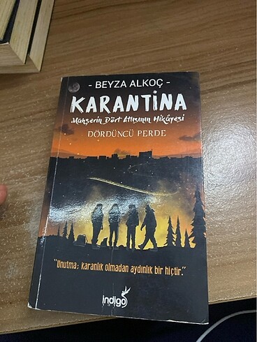 Beyza alkoç karantina romanı