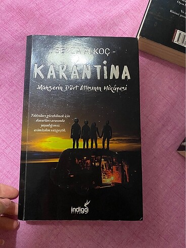 Karantina serisi