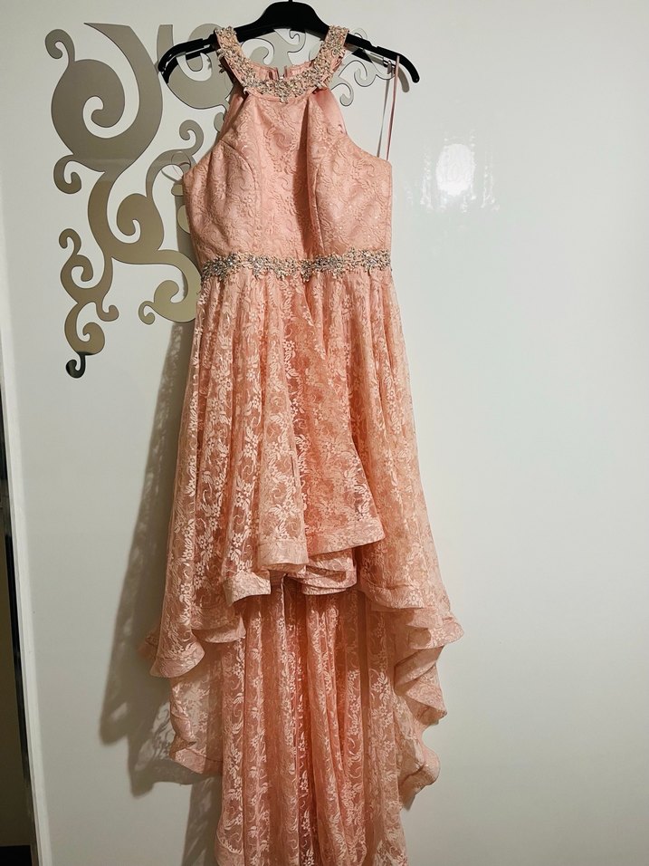 Pembe Dantel İşlemeli Uzun Abiye Elbise - Görsel 2