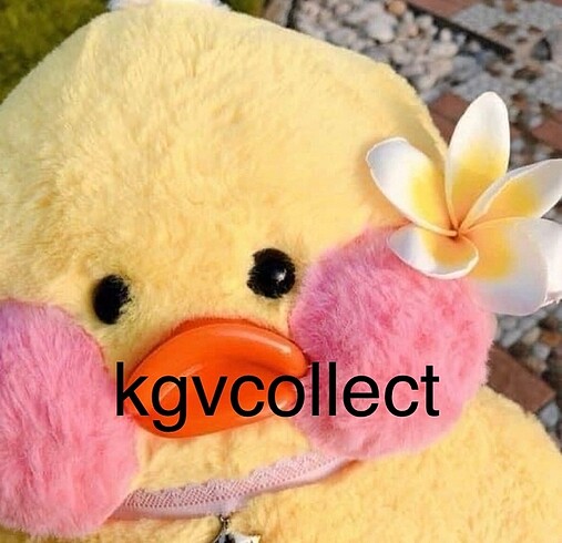 kgvcollect