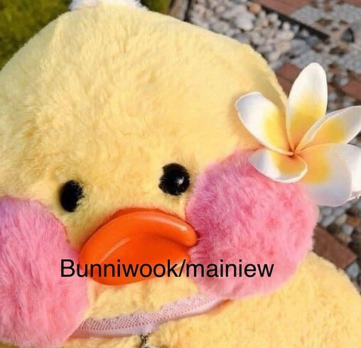 bunniwook