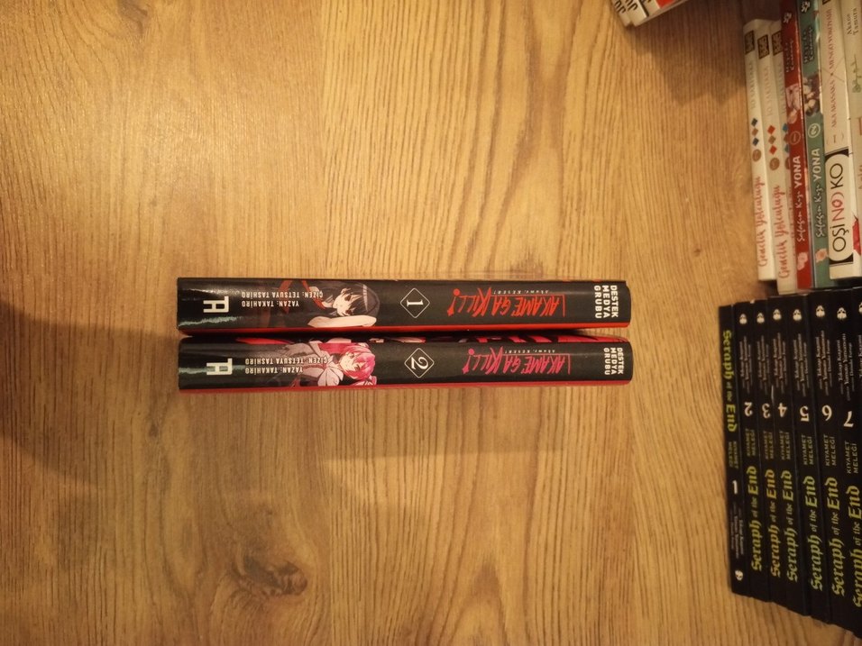 Akame Ga Kill! Manga 1 ve 2.Cilt - Görsel 2