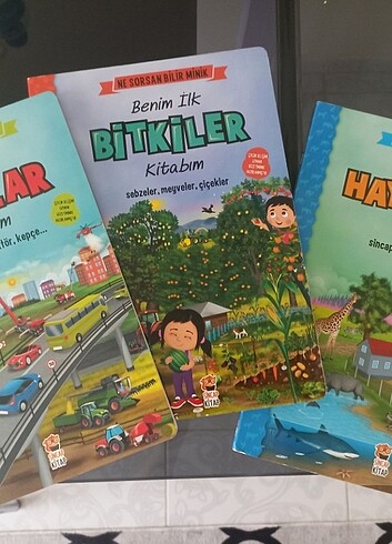 Beden Renk Egitici kitap