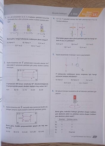 Beden Renk Egitim Vadisi Fizik MSB (11. Sinif)