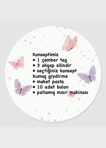 Gökkuşağı kelebek konseptimiz - Görsel 3