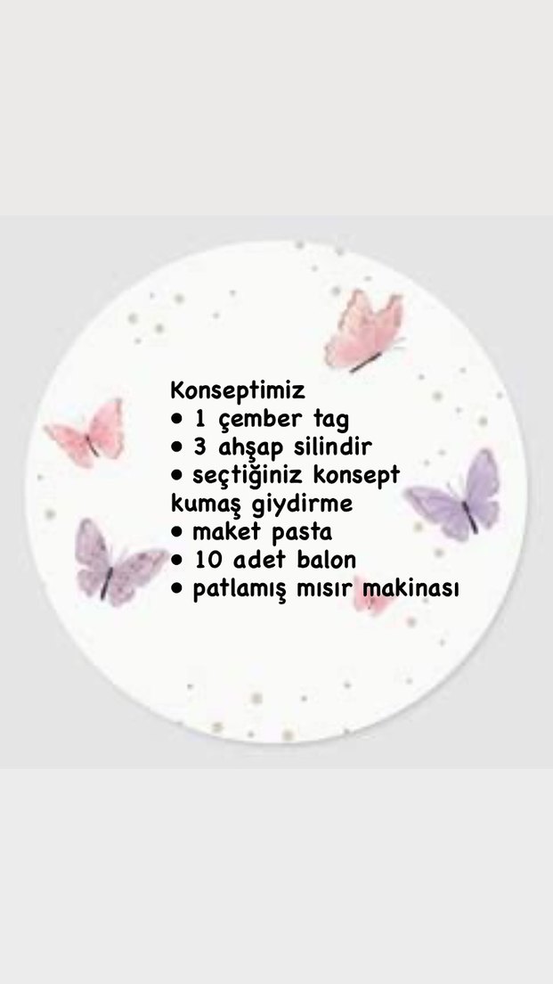 Gökkuşağı kelebek konseptimiz - Görsel 3