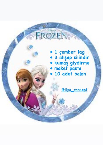 Elsa doğum günü konsepti - Görsel 3