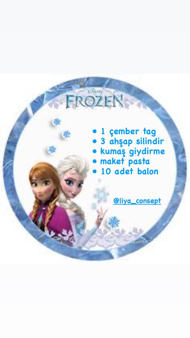 Elsa doğum günü konsepti - Görsel 3