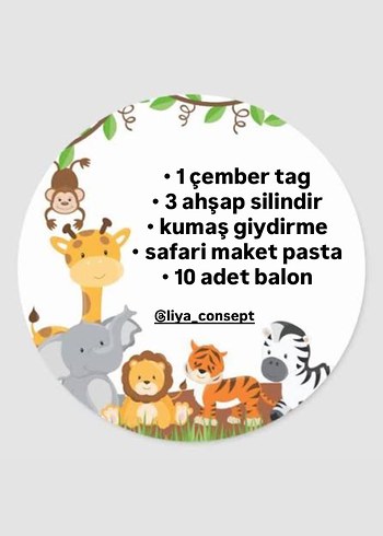 Safari doğum günü - Görsel 3