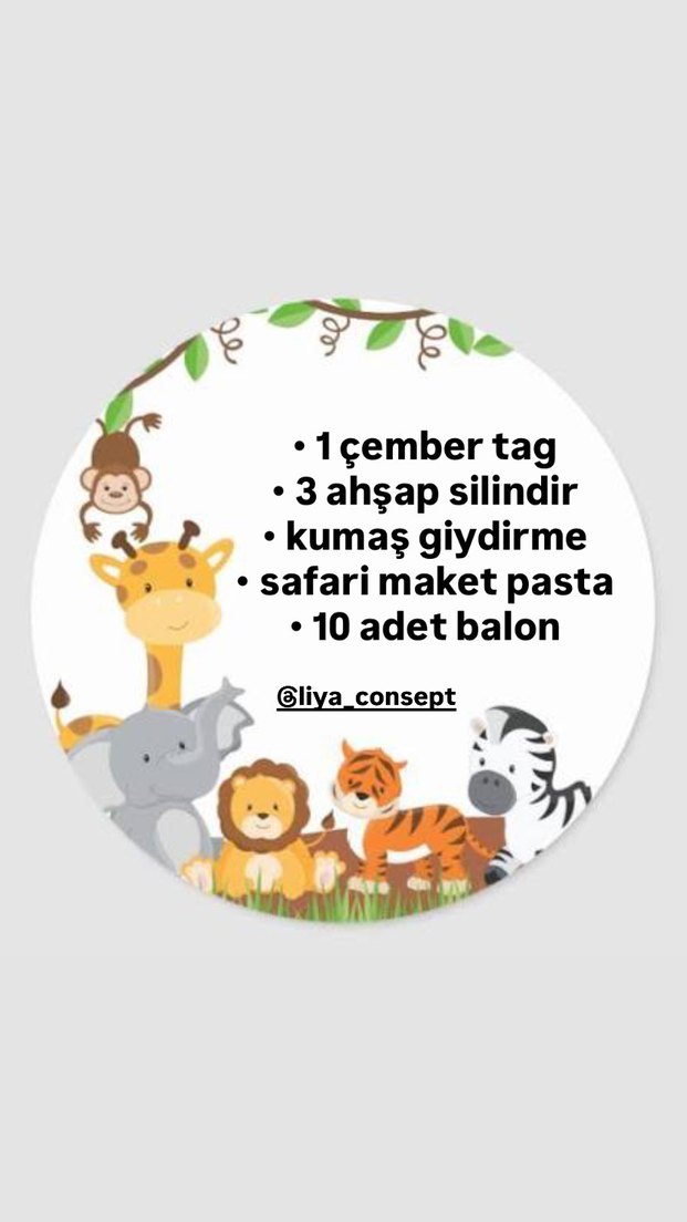 Safari doğum günü - Görsel 3