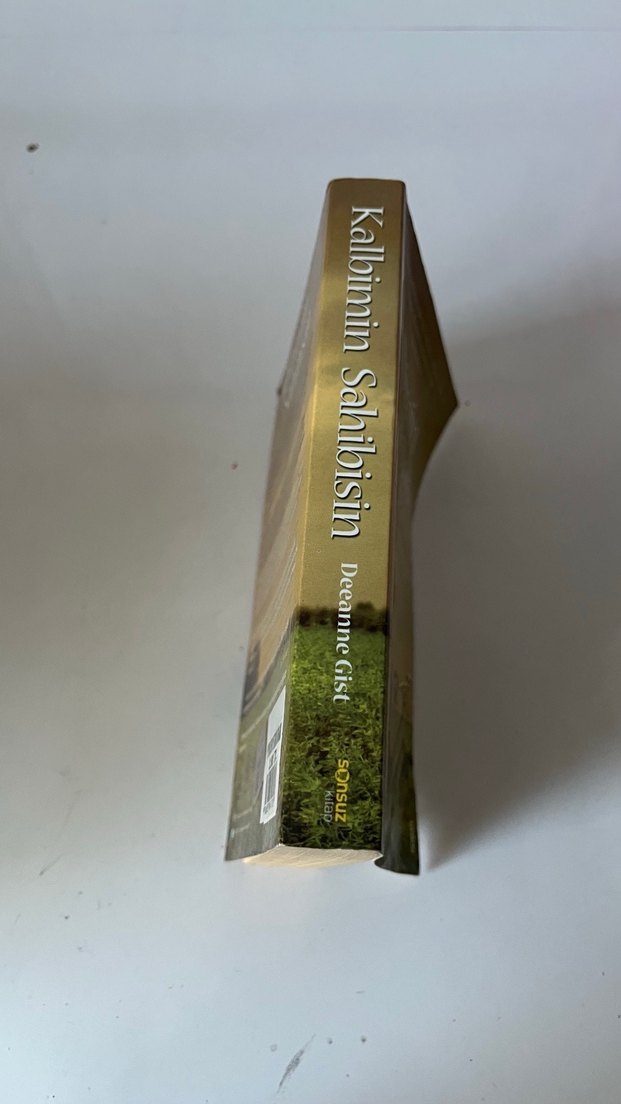 Kalbimin Sahibisin - Deeanne Gist Roman - Görsel 2