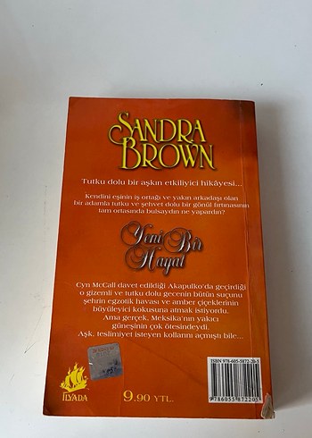 Sandra Brown - Yeni Bir Hayat - Görsel 3