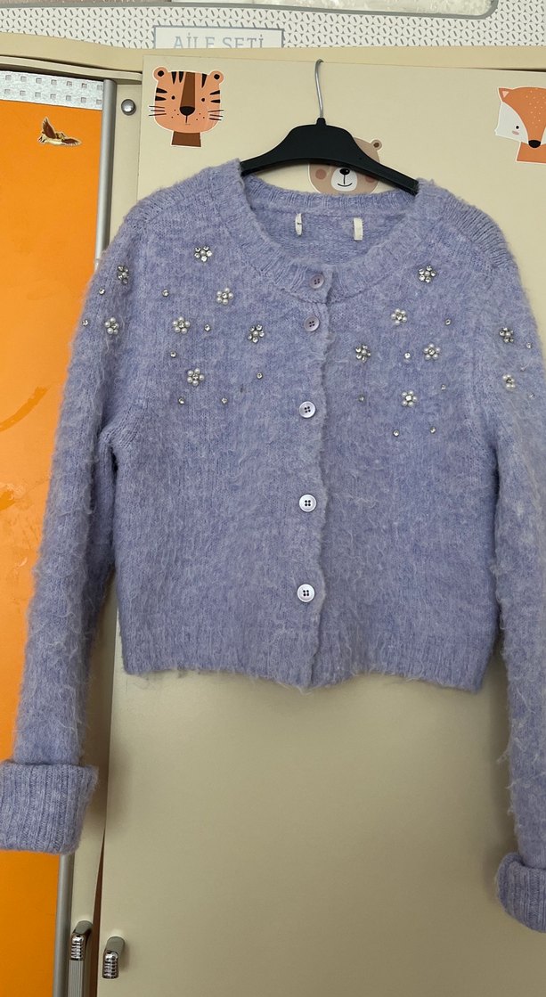 Nakışlı Gri Düğmeli Kadın Hırka - Görsel 2