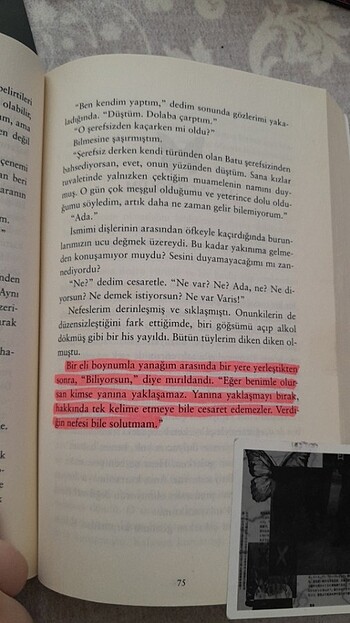  Kelebeği Öldürmek