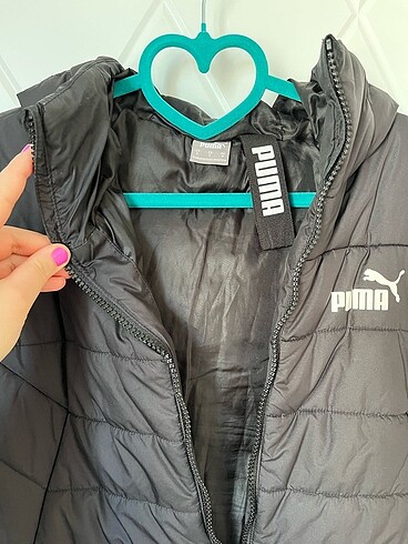 Puma mont