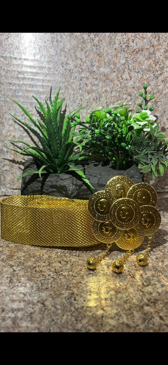 ALTIN KAPLAMA KEMER LİRALI BAŞLIKLI - Görsel 4