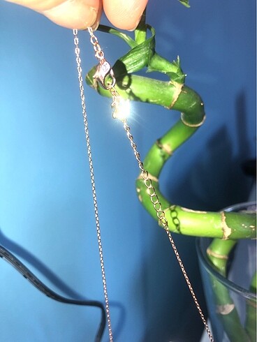  Beden altın Renk Orijinal Swarovski kolye