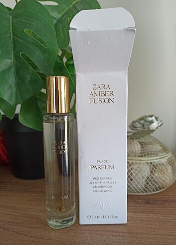 Zara Zara amber fusion 30ml