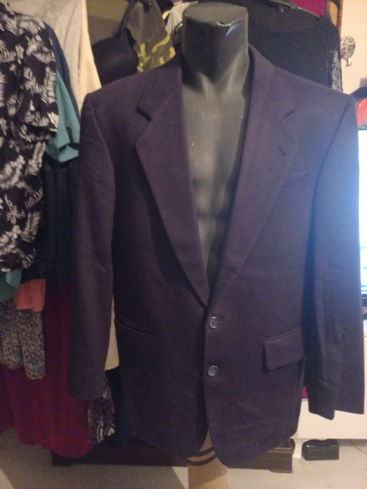 VİNTAG CLASSİQUE  Düğmeli Erkek Takım Ceketi - Görsel 2