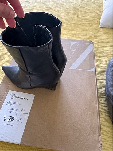 38 Beden Zara bot
