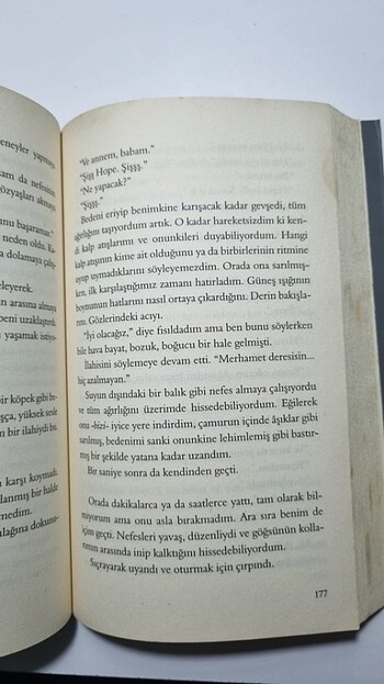 Beden Renk Av - Tom Isbell