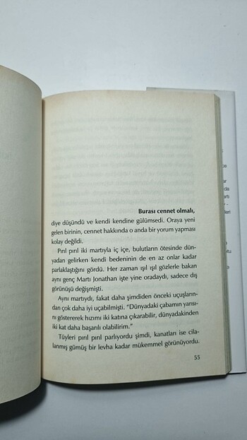 Beden Renk Martı Jonathan Livingston